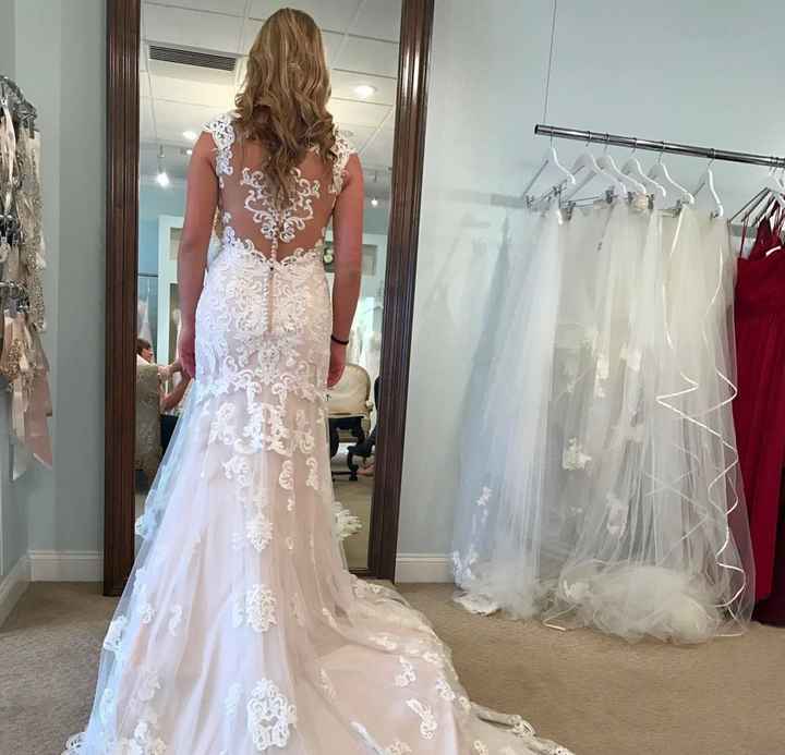 Deciding on a belt... - 2