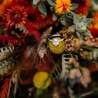 10.06.18 pro pics - 8