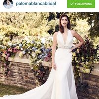 Train or no train !!