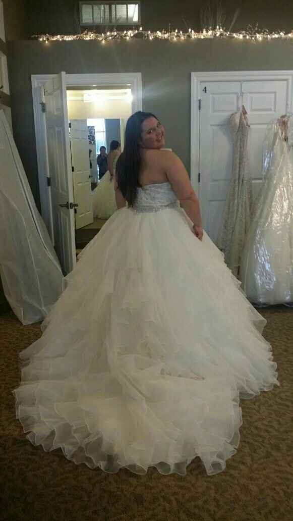 My dress came in early!