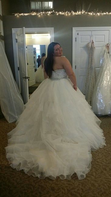 My dress came in early!
