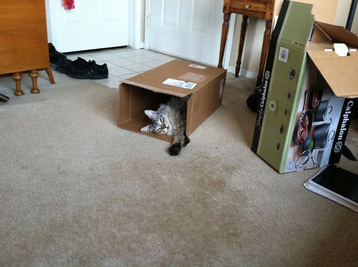 NWR: Fur Babies!