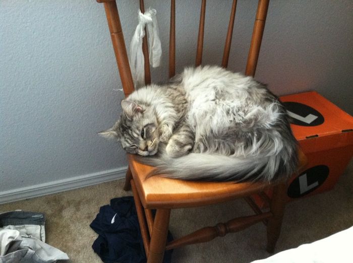 NWR: Fur Babies!