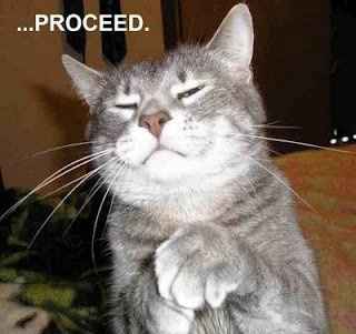 Mrs S ... We need to start another funny Cat thread!