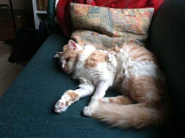 Fostering Update
