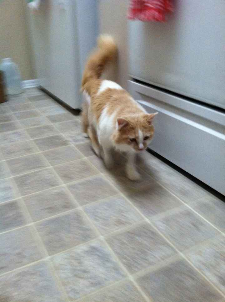 Fostering Update