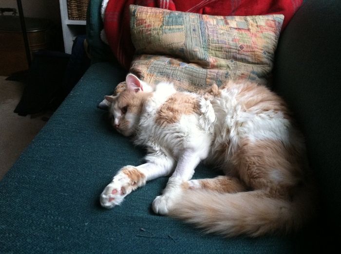 Fostering Update