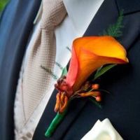 October brides - what kind of flowers are you using? - 2