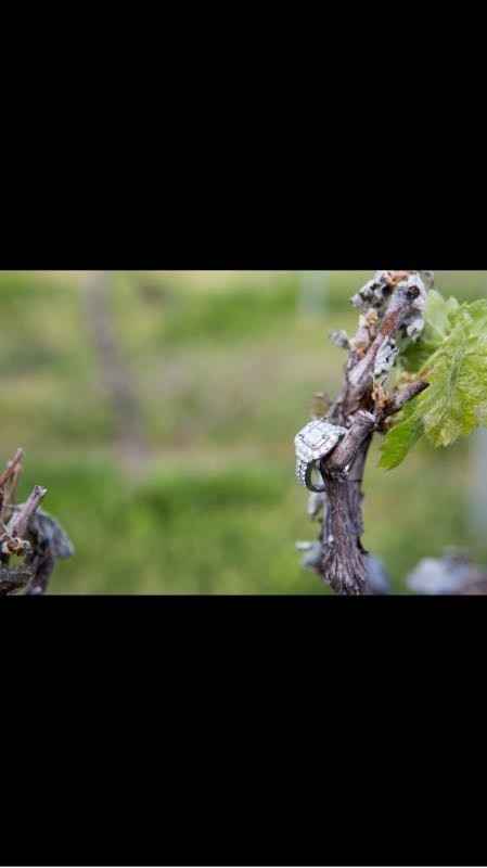 Engagement Photos! Yes, U should do it!!