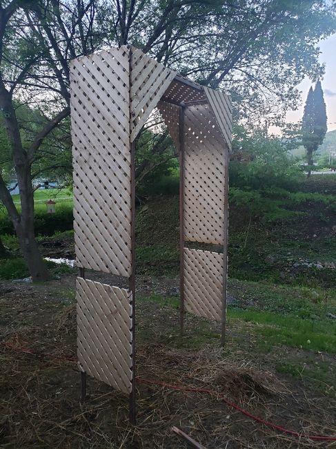 We made an arch! 2