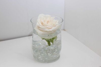Flowers, real and fake....lets see 'em!