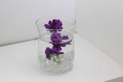 Flowers, real and fake....lets see 'em!