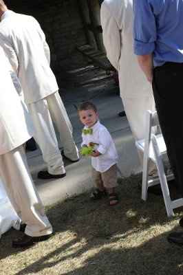 Flower girl and Ring bearer question.