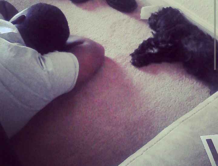 NWR: Puppybowl! And Fur Babies!