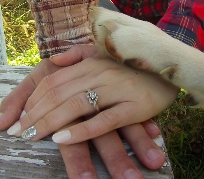 Favorite Engagement Photo?