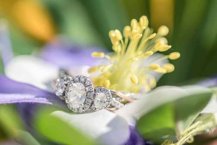 2023 Brides - Show us your ring! - 1