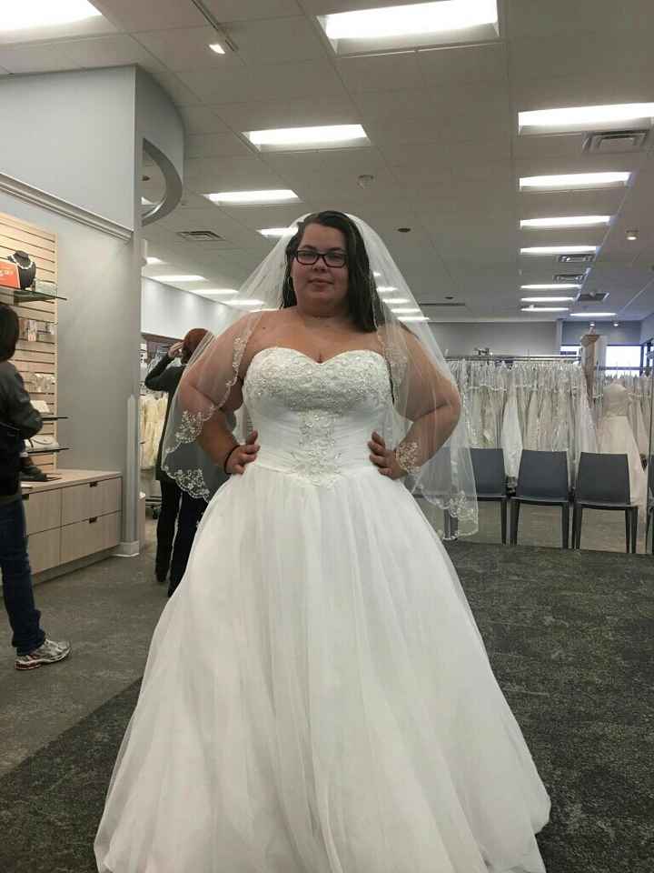 Plus size brides