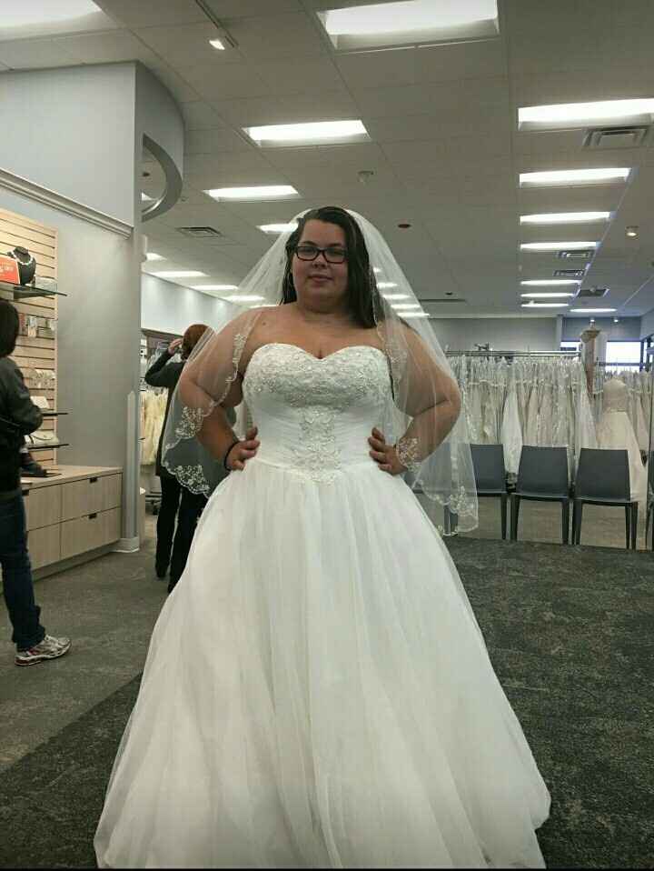 THE DRESS