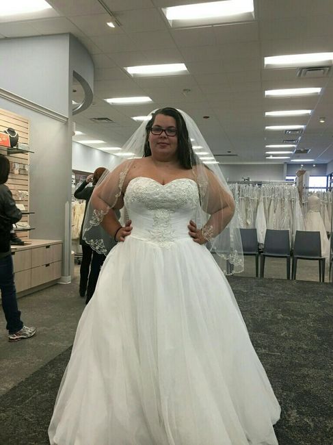 DB Dresses