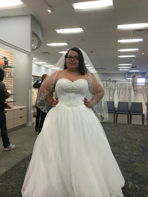 Plus size brides