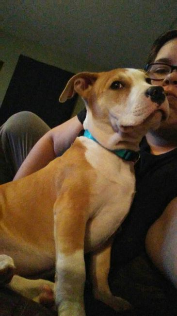 NWR: New puppy!