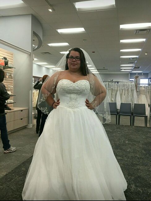 Davids Bridal Dresses!