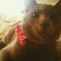 Show me your fur babies!