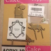 Crazy cat (or animal) people out there?