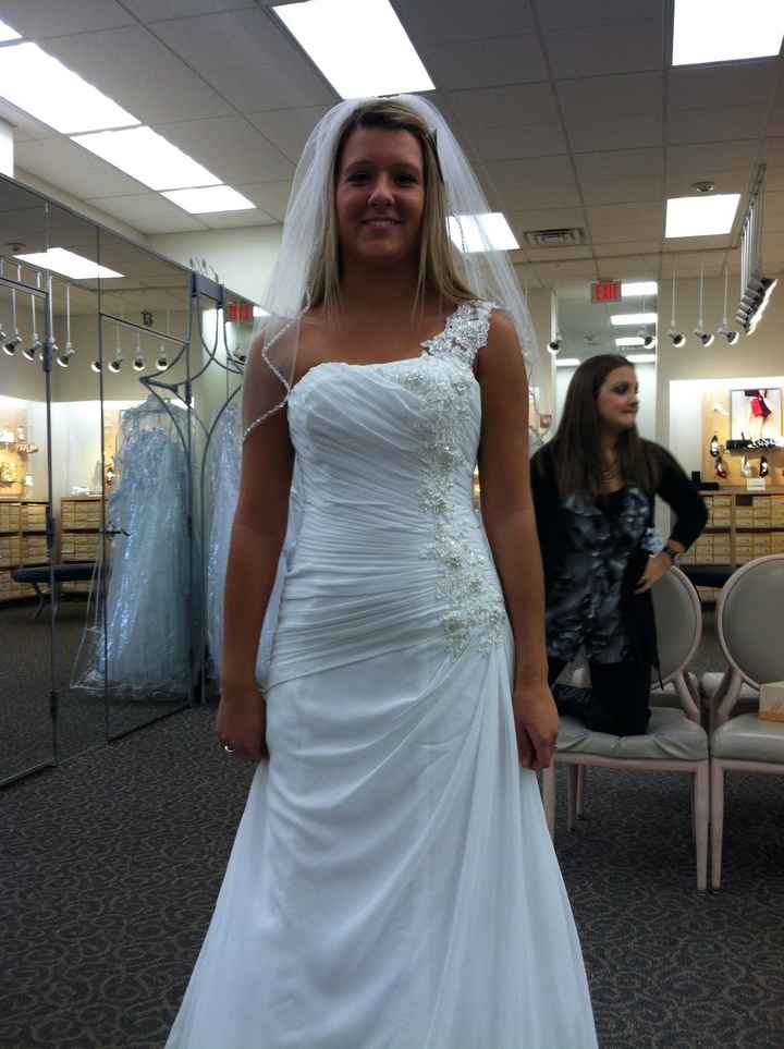 Spin-off! Show me your David's Bridal gowns!