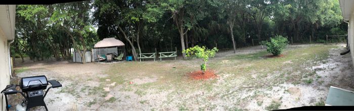 How much is to much? 1