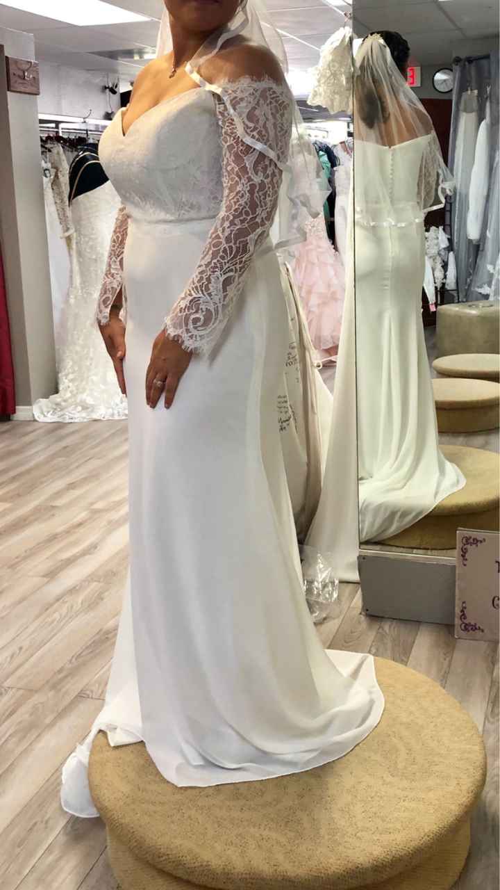 Traveling Wedding Dress - 1