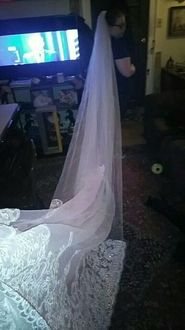 Veil issues (2nd post today, I'm sorry lol) - 1