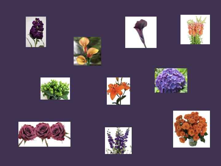 What’s in your bouquet? - 2