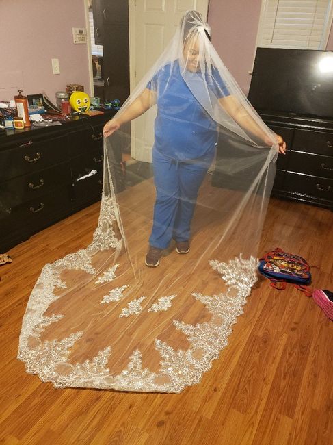 Veils are too expensive 3