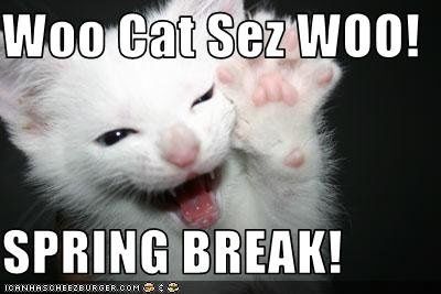 Friday Fun Picture Post