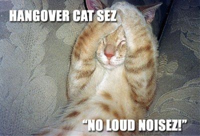 Friday Fun Picture Post