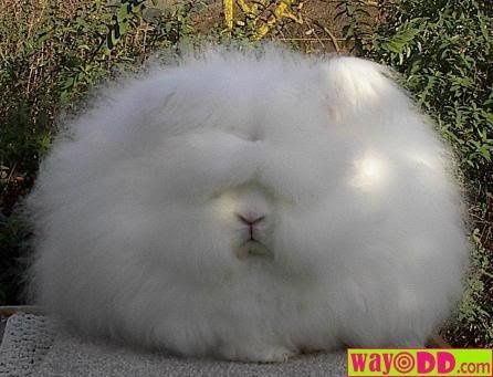 Posts go poof!