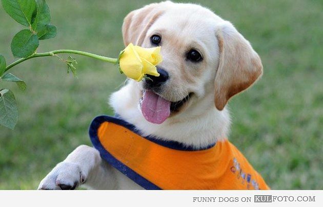 Cross one potential bridesmaid... [mini-vent]