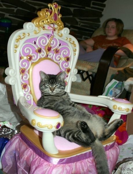 This is how I feel about wedding planning....