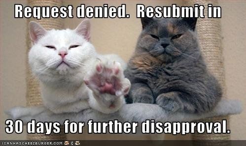 Mrs S ... We need to start another funny Cat thread!