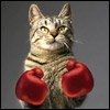 Good Morning Monday.....I'm here to kick your A$$ =) (this is my DIY!!)