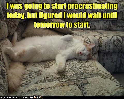 Anybody else procrastinating right now?