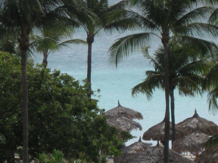 Honeymoon questions?