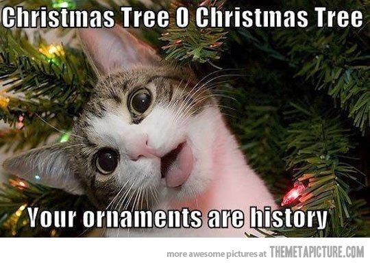Mrs S....