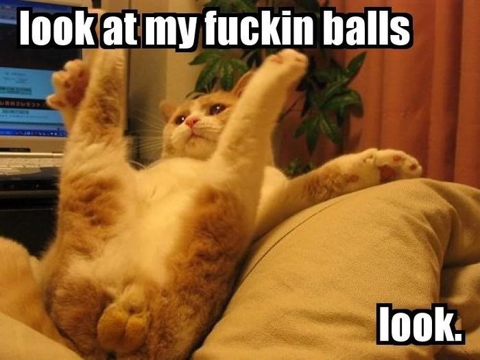 Hey spammers, trolls and just plain douchebags.....