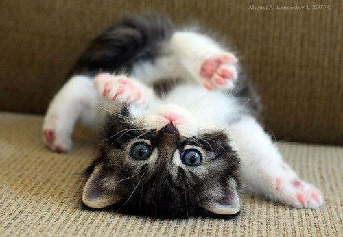 Having a hard day..