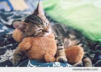 i ve been sick since I founld out he is going back... very upset... upset tummy