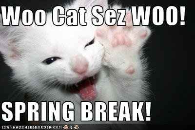 Friday Fun Picture Post