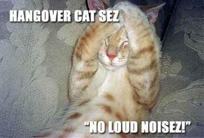 Friday Fun Picture Post