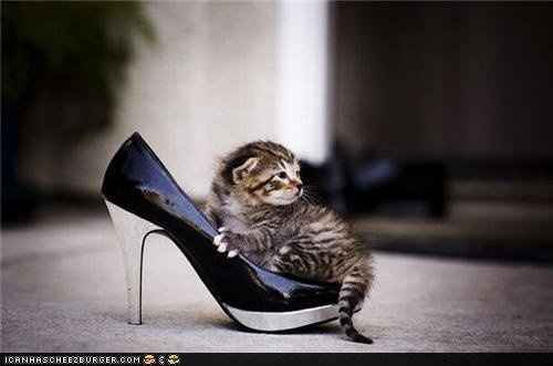 MRS. S - Saw this and thought of you :)
